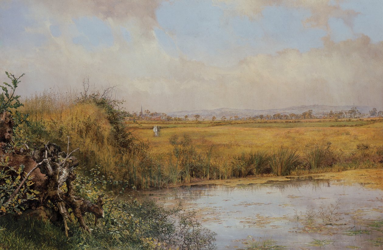 Ukjent bilde av John Edward Newton