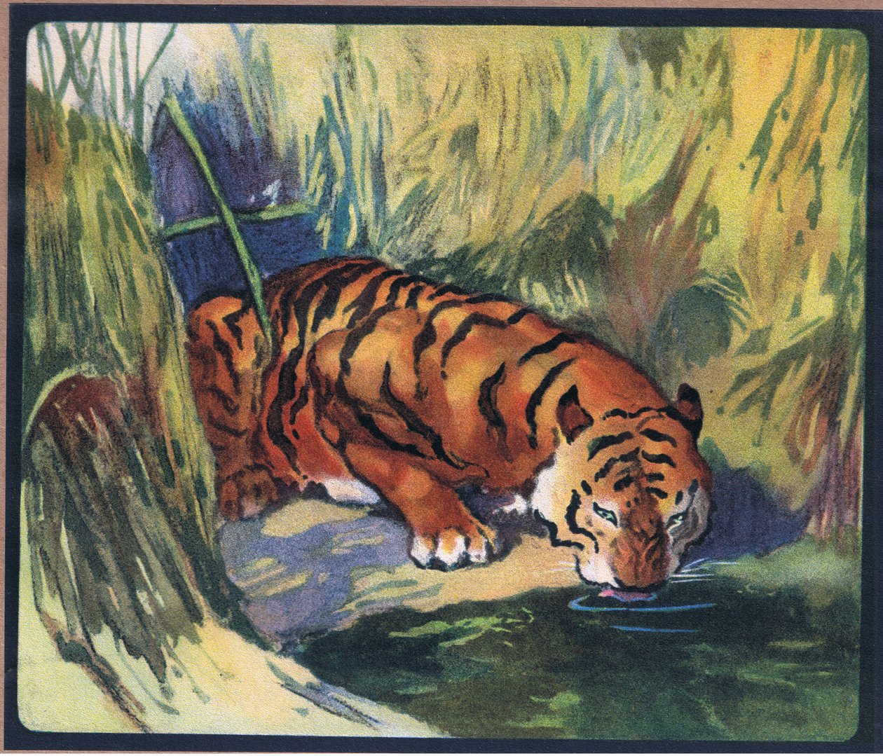 Tiger av John Edwin Noble