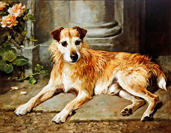 Skarp av John Emms
