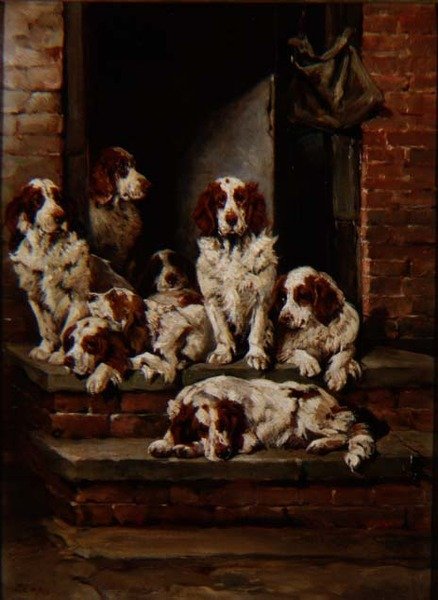 Spaniels i massevis av John Emms