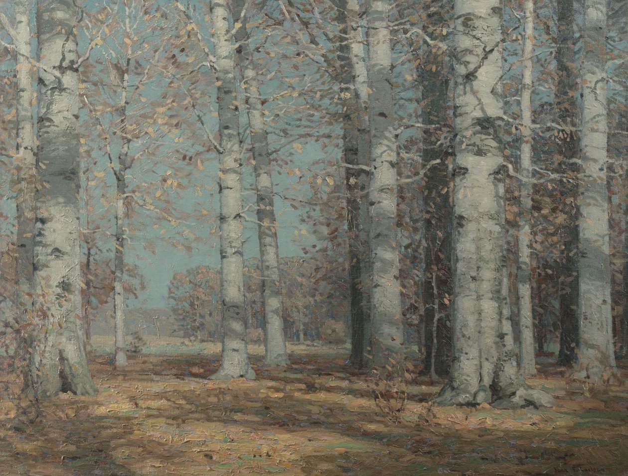 Autumn Beeches, ca. 1908-1915 (olje på lerret) av John Fabian Carlson