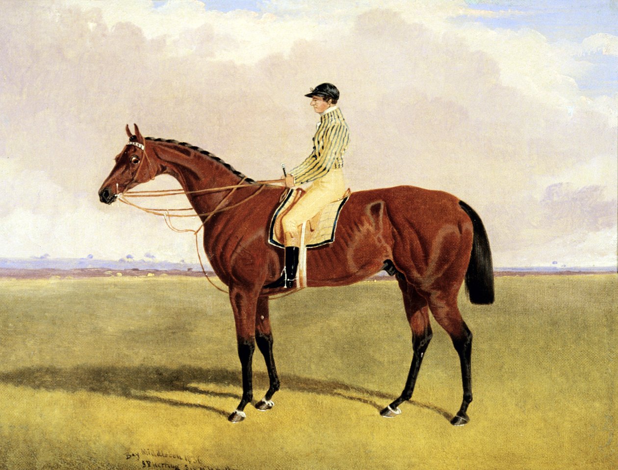 "Bay Middleton" med Robinson av John Frederick Herring Jnr