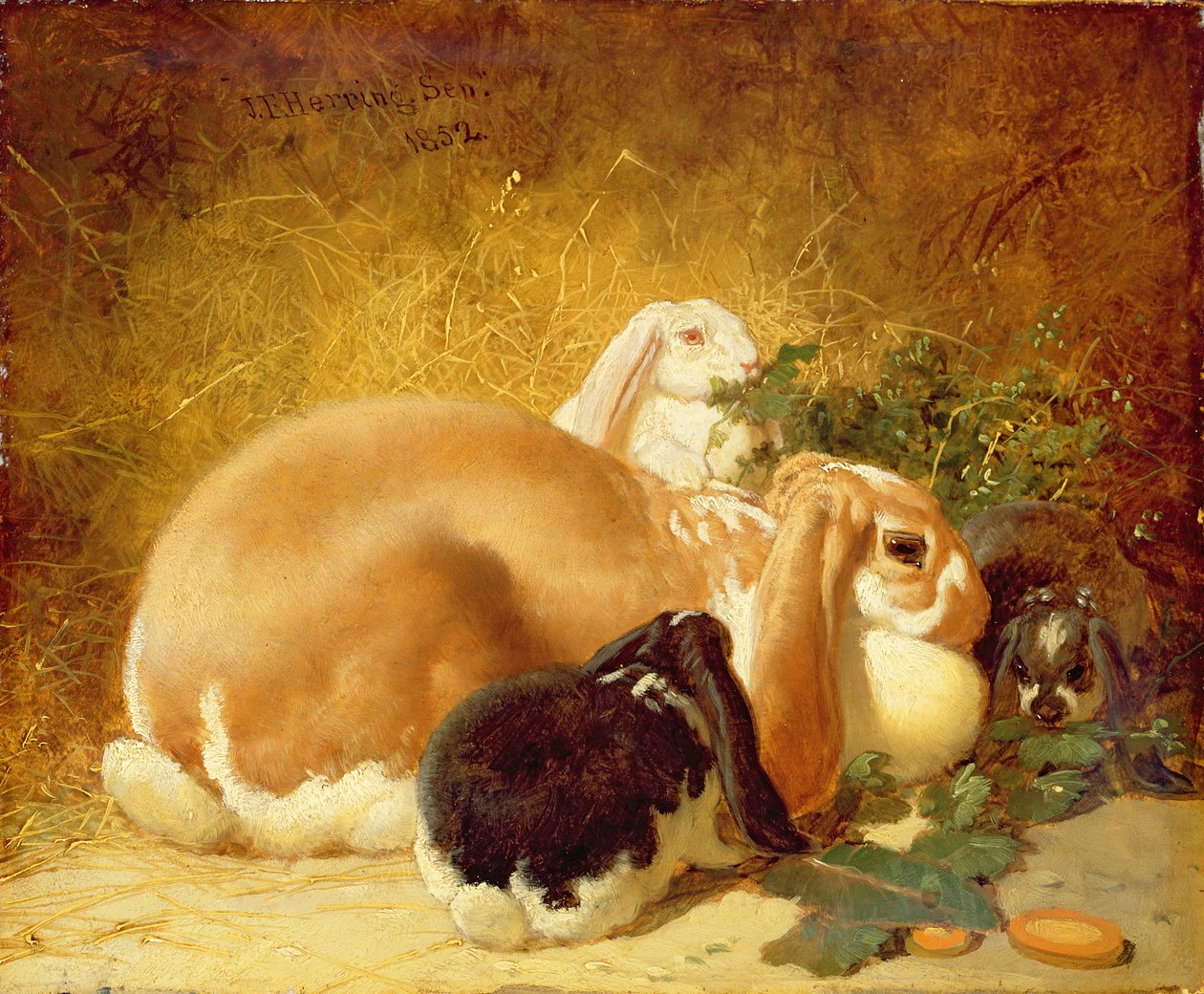 Kaniner, 1852 av John Frederick Herring Junior