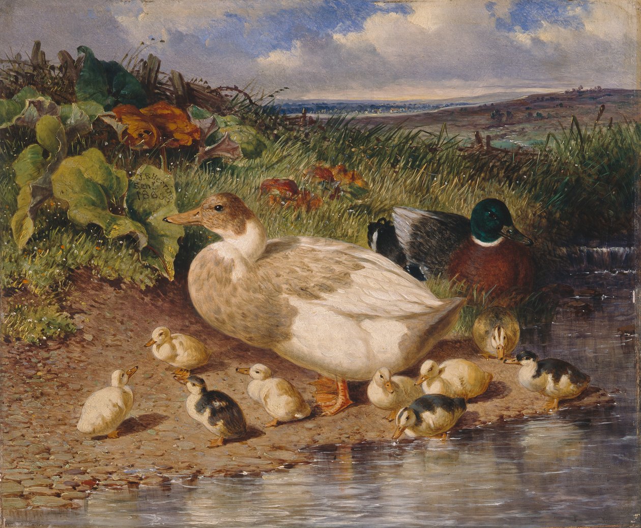 Ender ved en bekk av John Frederick Herring Snr