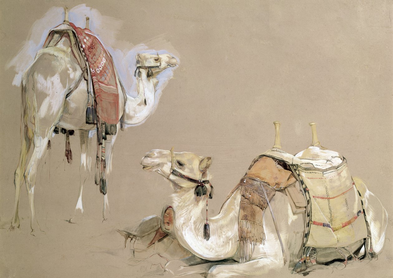 Kamelstudier av John Frederick Lewis