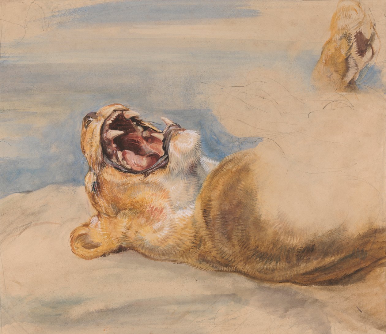 Studie av en løvinne av John Frederick Lewis