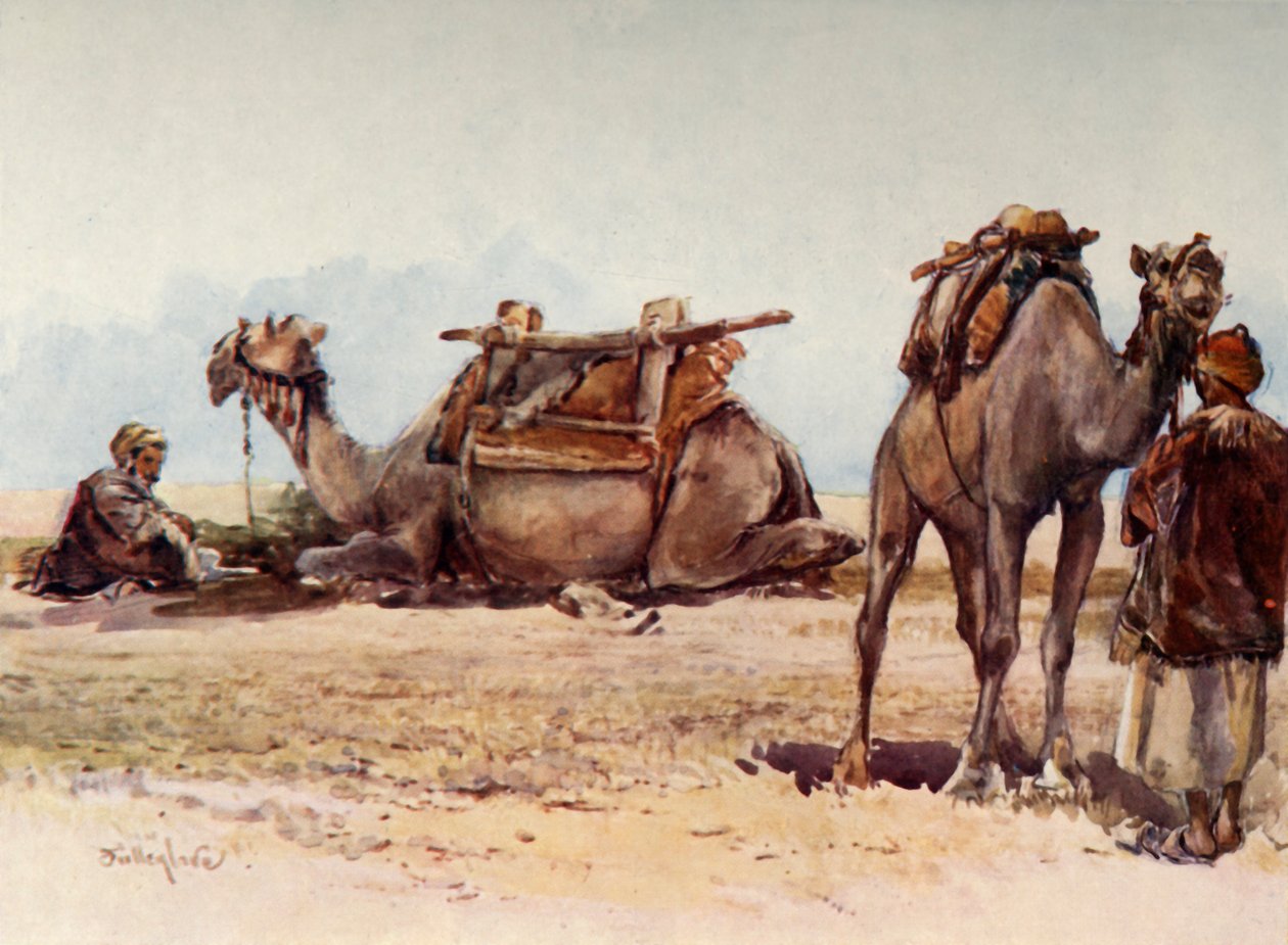 Studie av kameler og ledsagere, 1902. av John Fulleylove