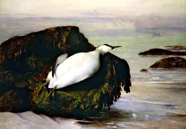 Shanklin av John George Naish
