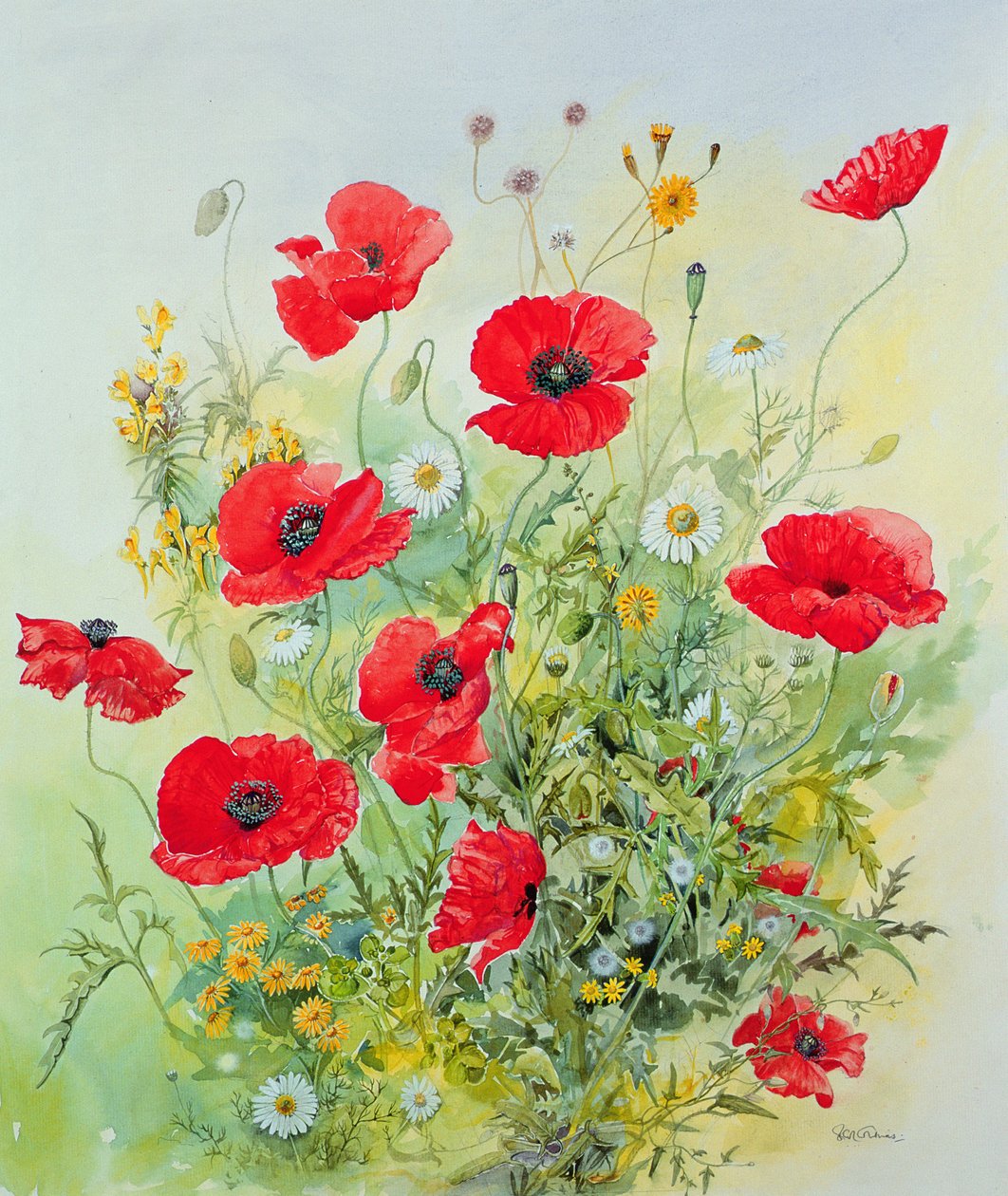 Valmuer og Mayweed av John Gubbins