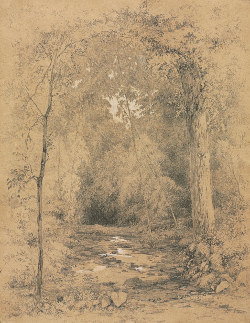 Skoginteriør, ca. 1870. av John Henry Hill