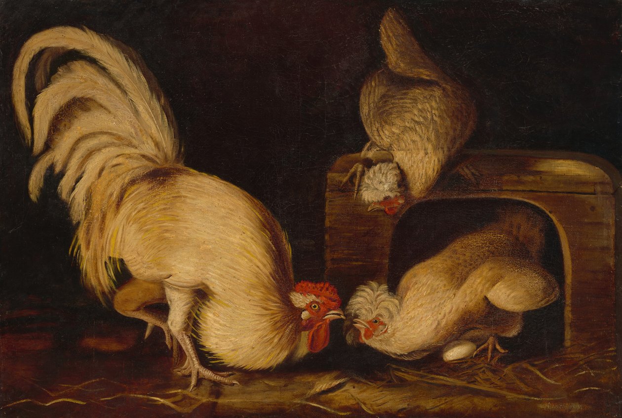 Farmyard Fowls, ca. 1827. av John James Audubon