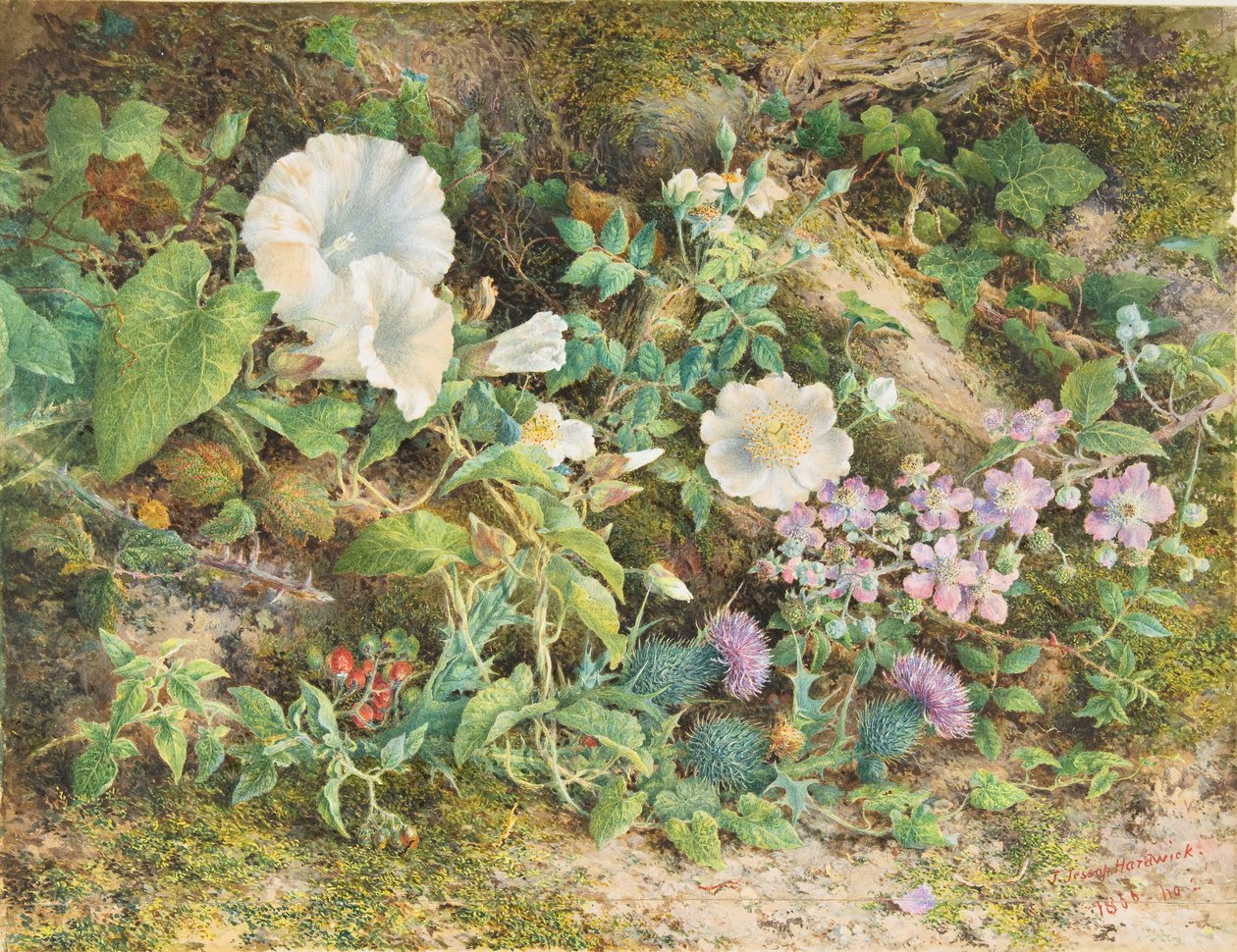 Blomsterstudie, 1866. av John Jessop Hardwick