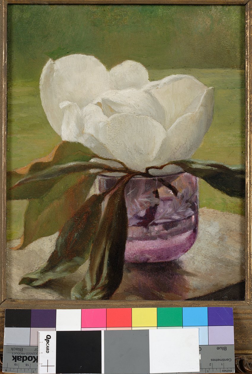 Magnolia blomst av John La Farge or Lafarge