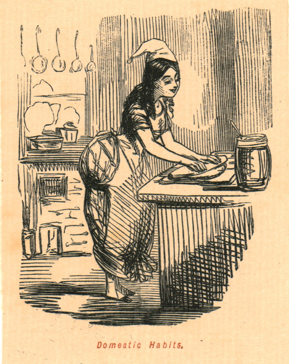 Husvaner, 1897. av John Leech