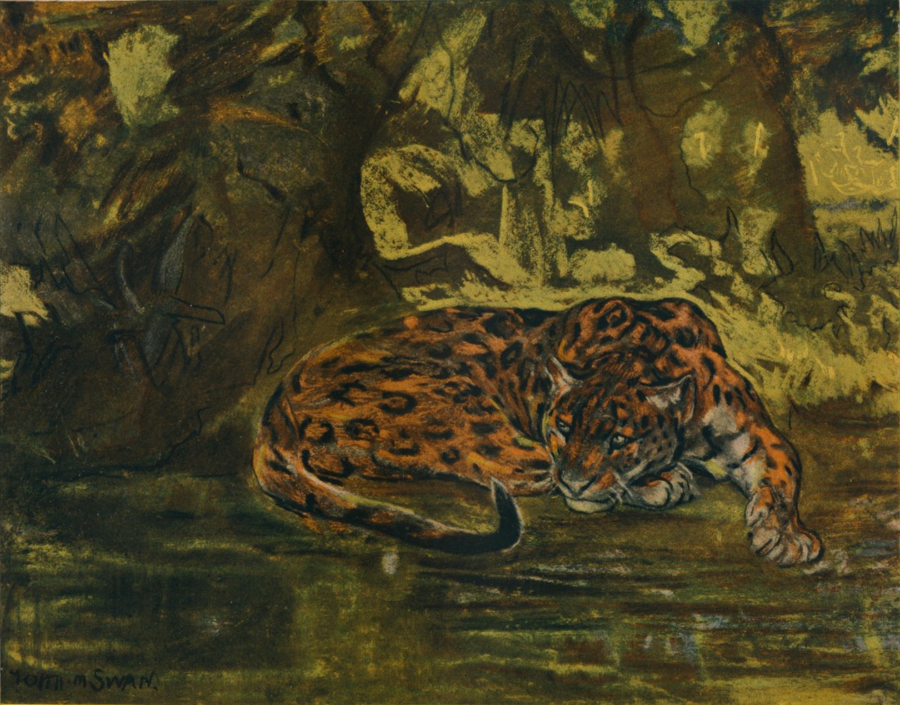 En Jaguar, c1900 av John Macallan Swan