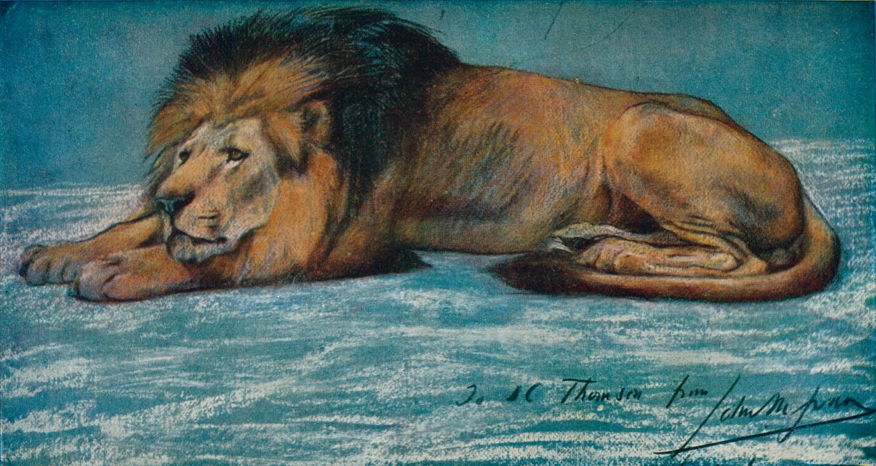 Pastellstudie av en løve, c1900 av John Macallan Swan