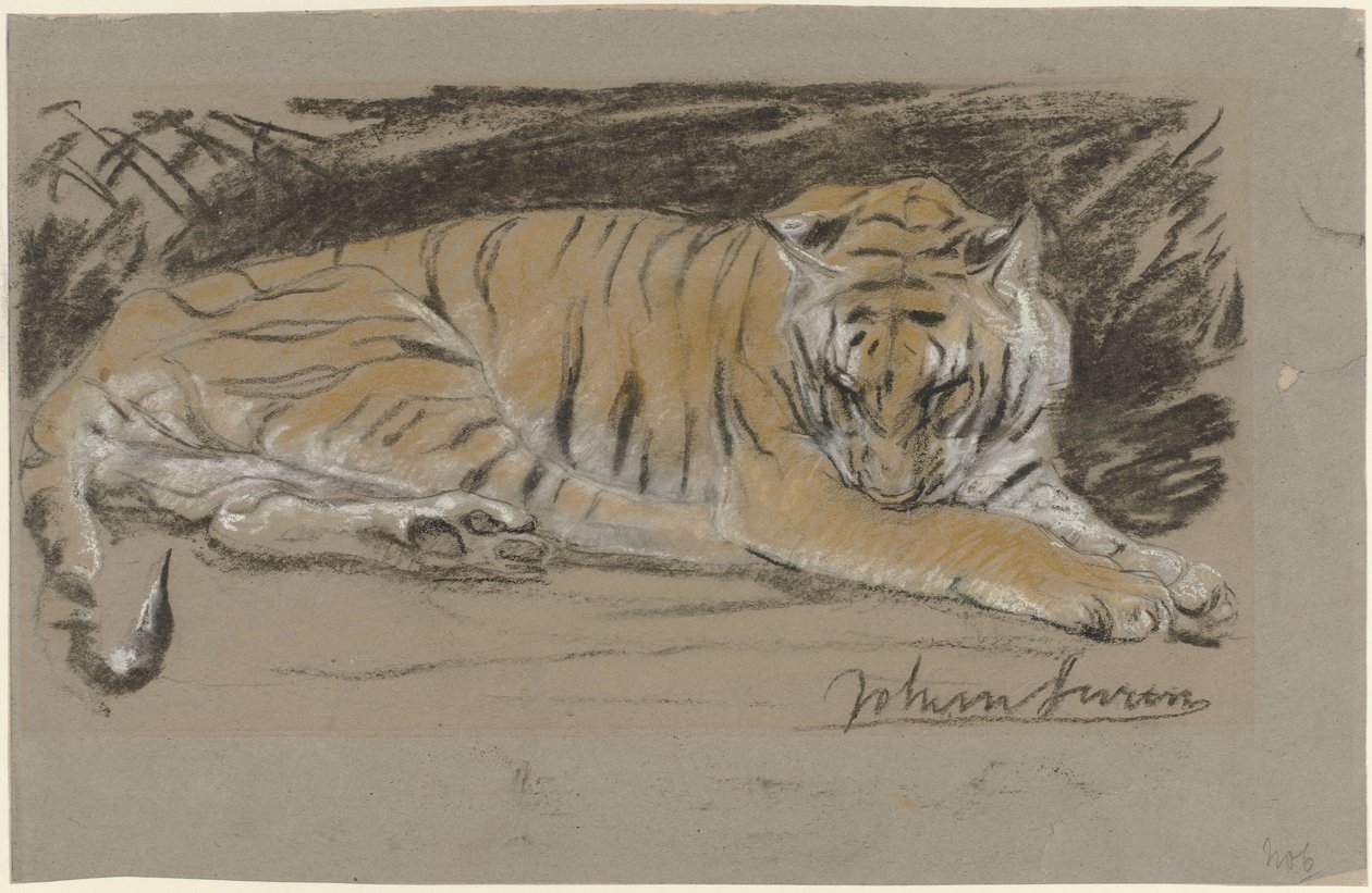 Tigress av John Macallan Swan