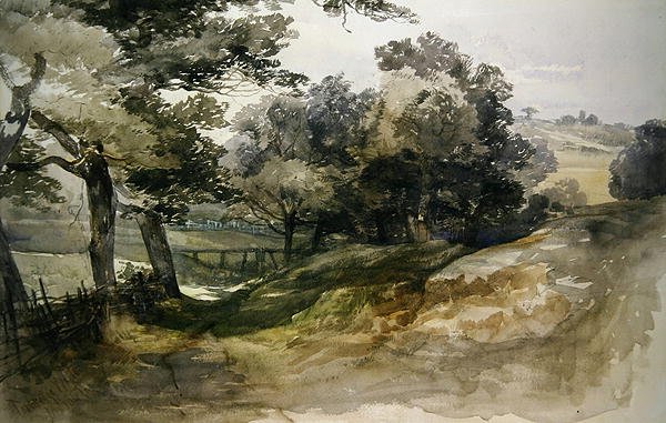 A Shady Lane, Tunbridge Wells av John Middleton