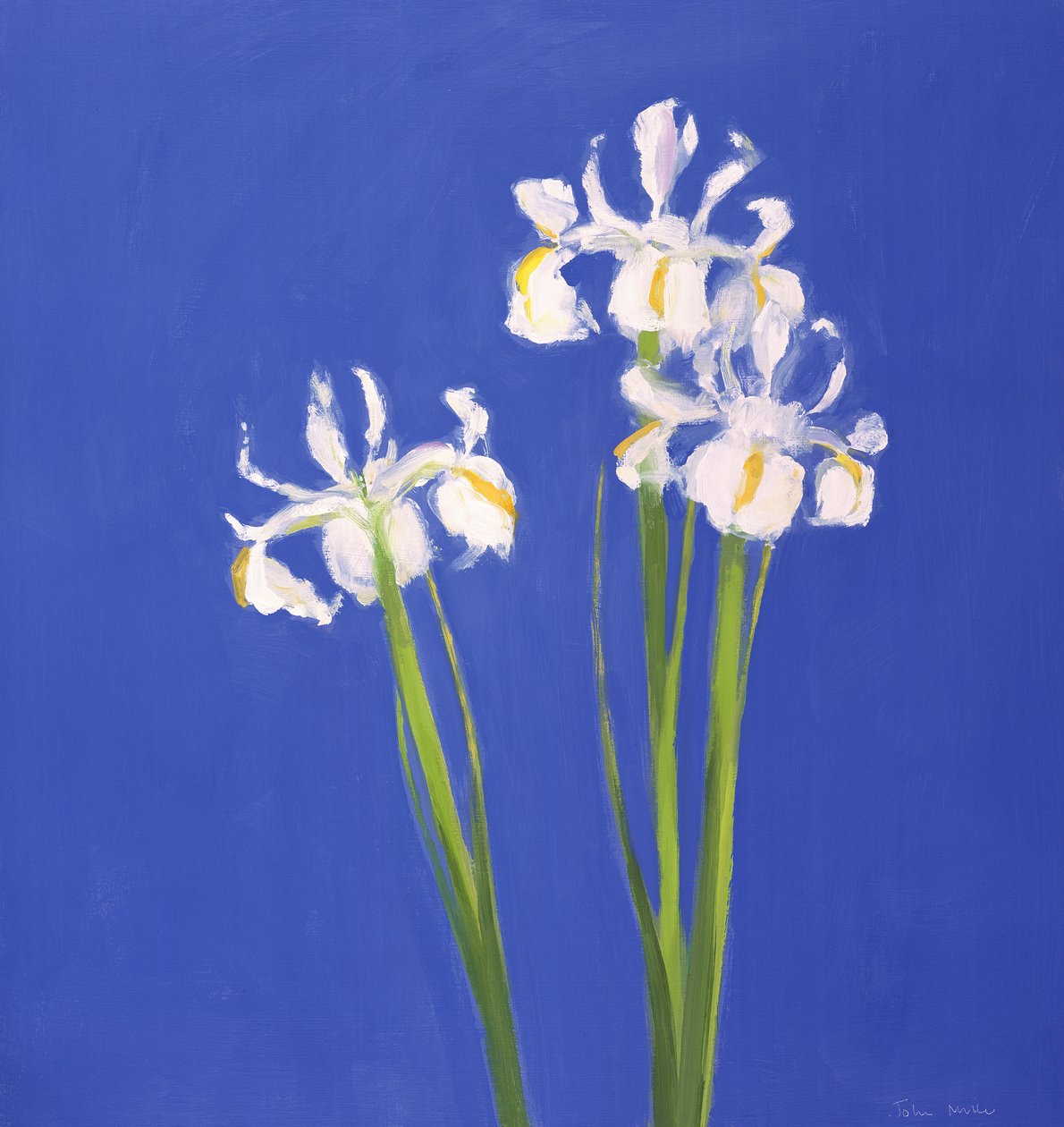 Dutch White Exelsior, 2000 av John Miller