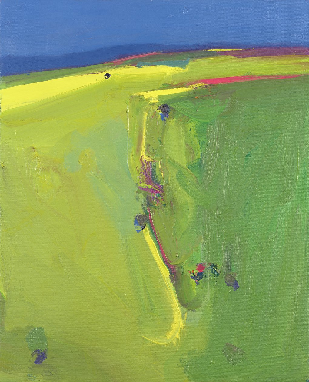 Summer Downs, 2000 av John Miller