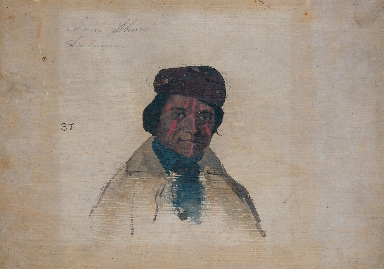 Jim Shaw, Delaware av John Mix Stanley