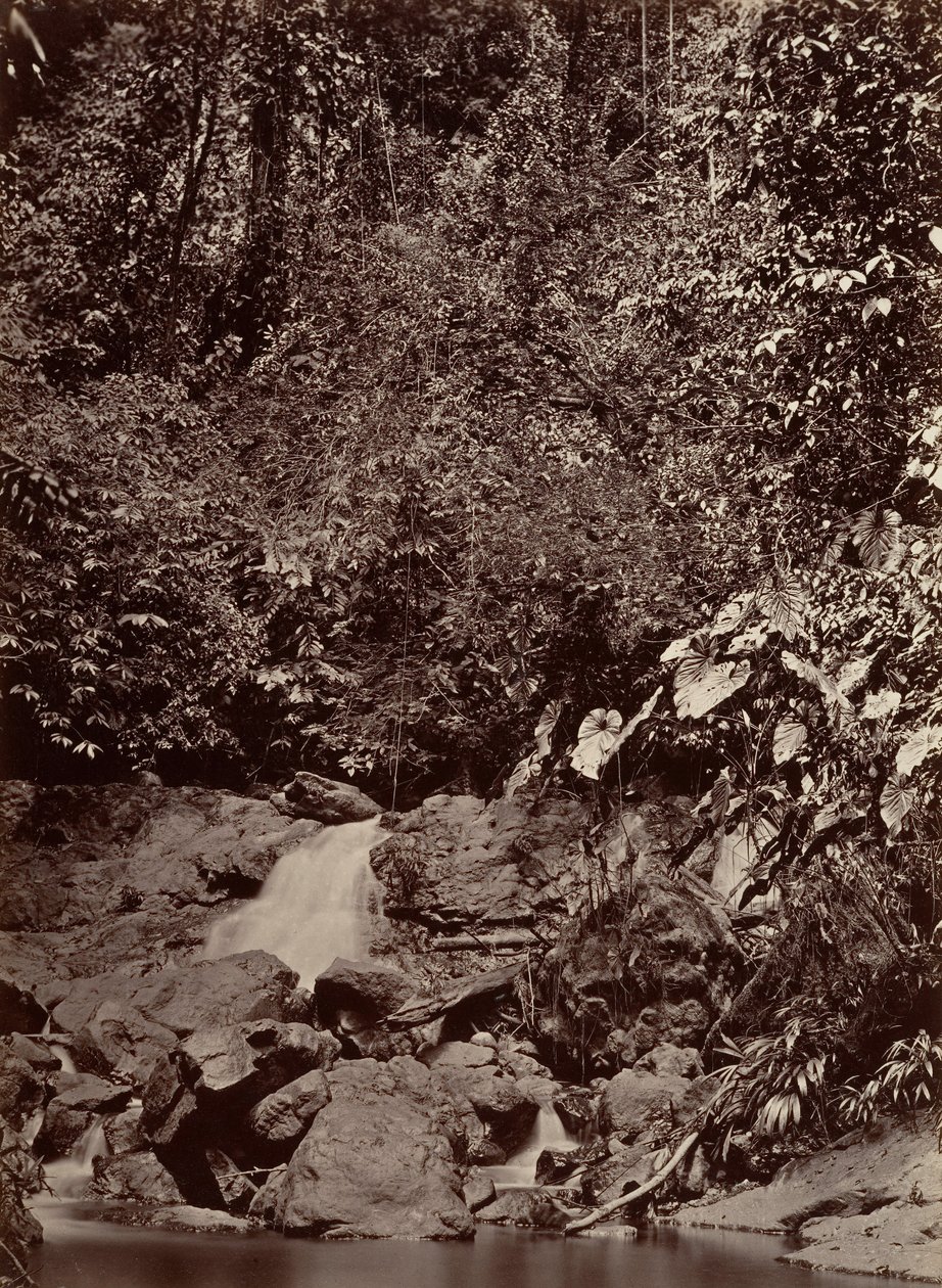Tropisk landskap, Cascade, Limon River, 1871. av John Moran