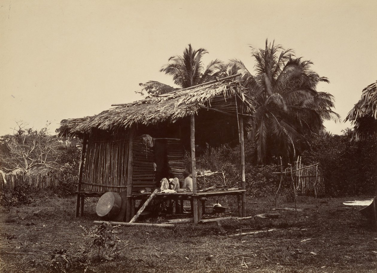 Tropisk natur, Native Hut, Turbo, 1871. av John Moran