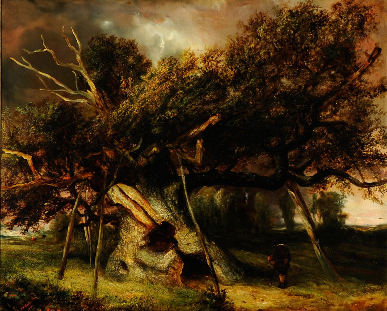 The Cowthorpe Oak av John Nicholas Rhodes