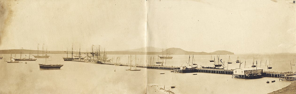 Auckland Harbour, 1865 (albumtrykk) av John Nicol Crombie
