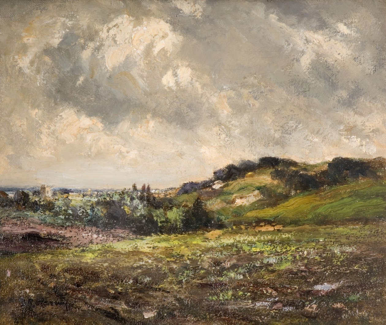Forblåste åser, 1880-1930. av John Rabone Harvey