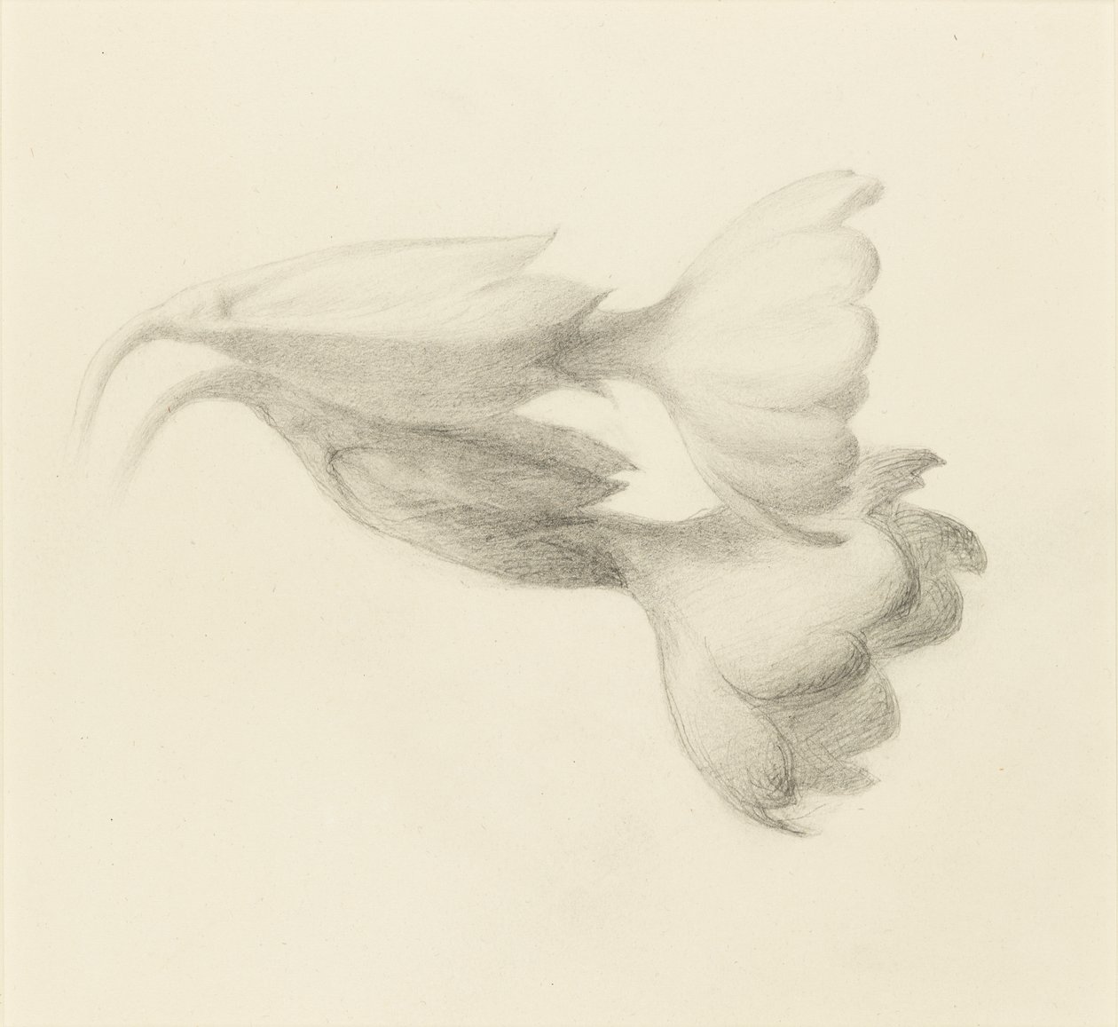 Cowslip Bells, sannsynligvis 1871. av John Ruskin