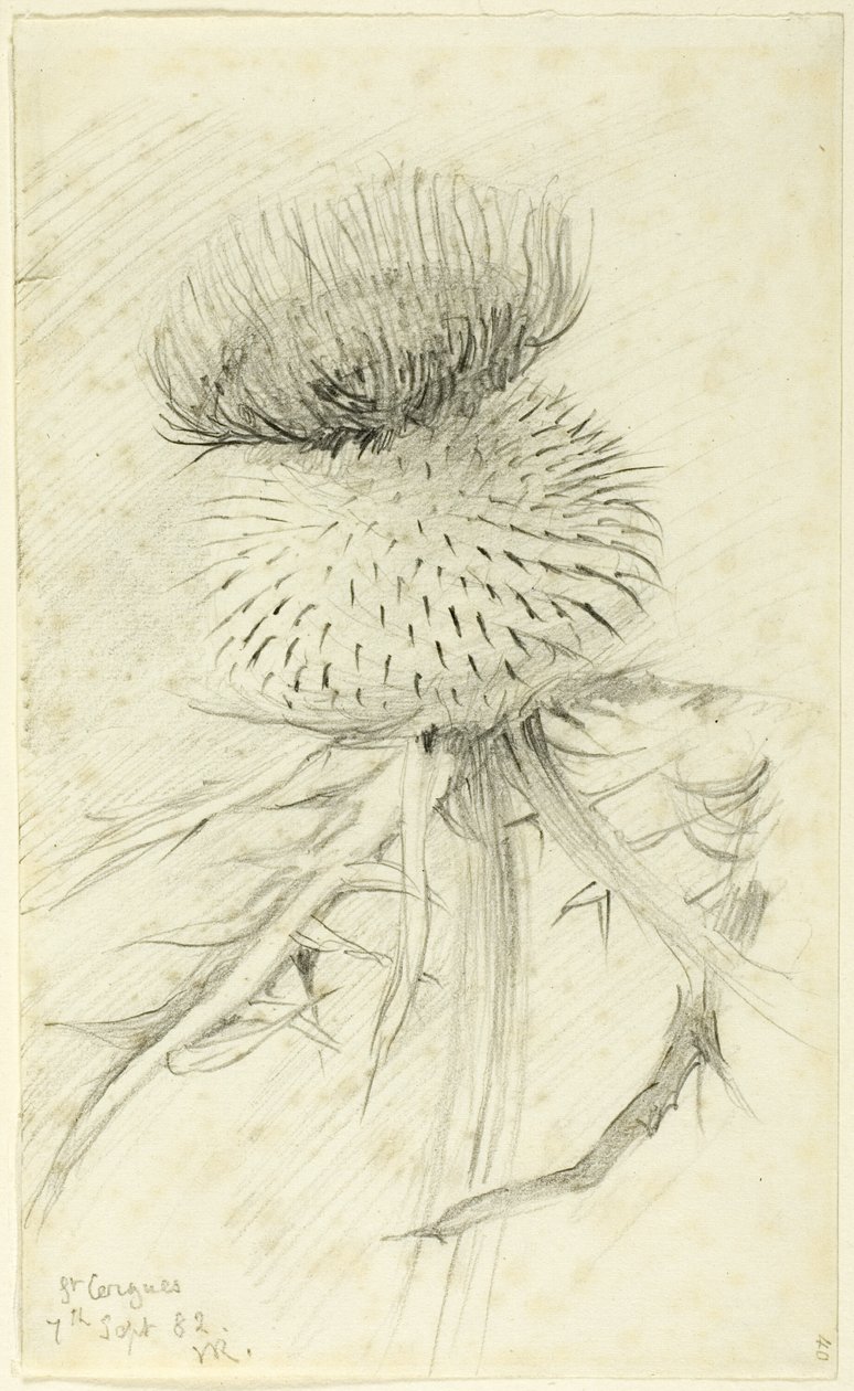 St. Cergues av John Ruskin