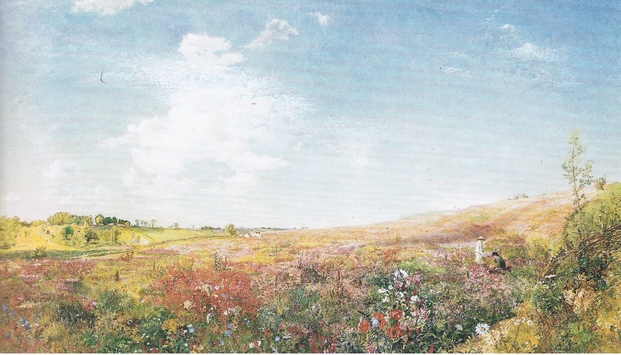 Sommerlandskap av John Samuel Raven