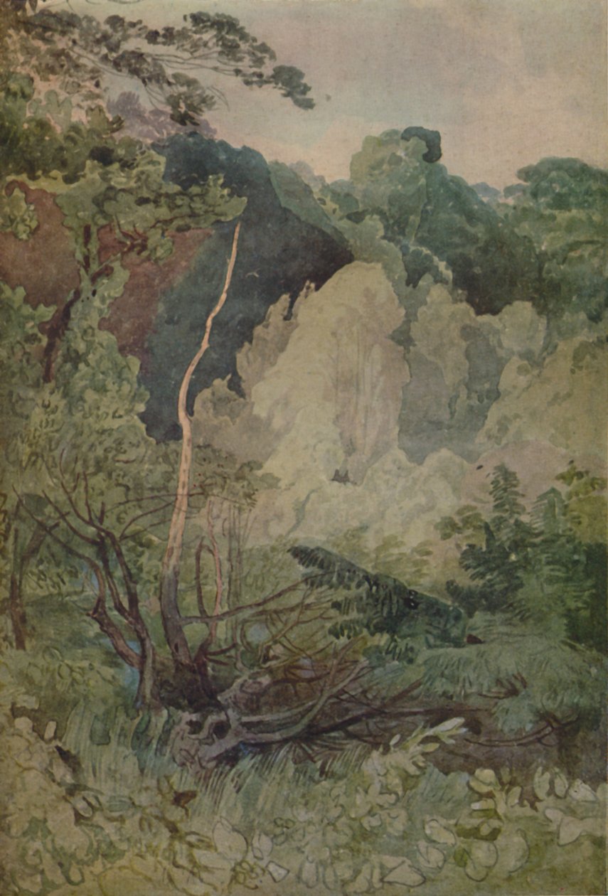 Trær nær elven Greta, 1923 av John Sell Cotman