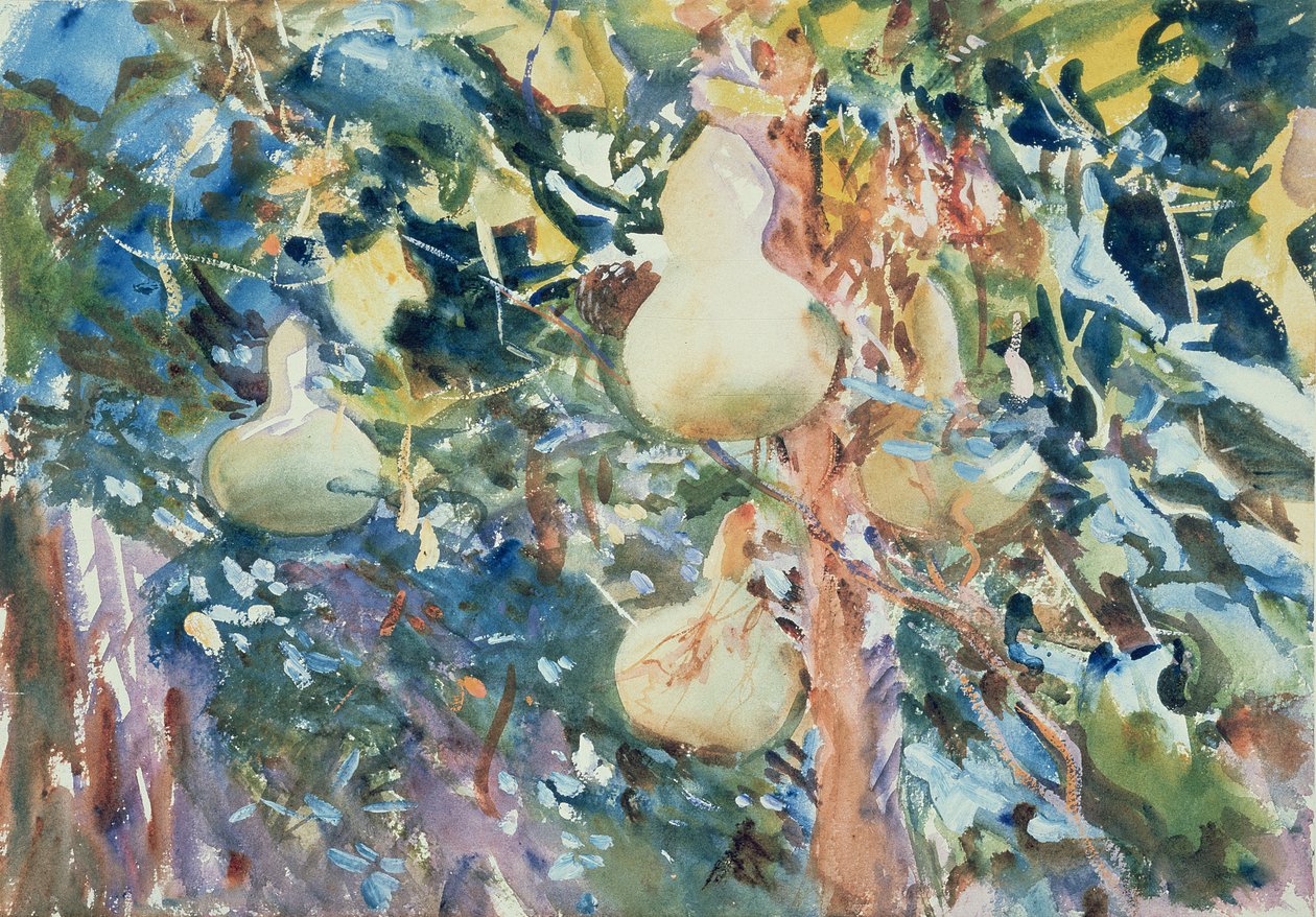 Kalebasser, ca. 1905 (wc på papir) av John Singer Sargent