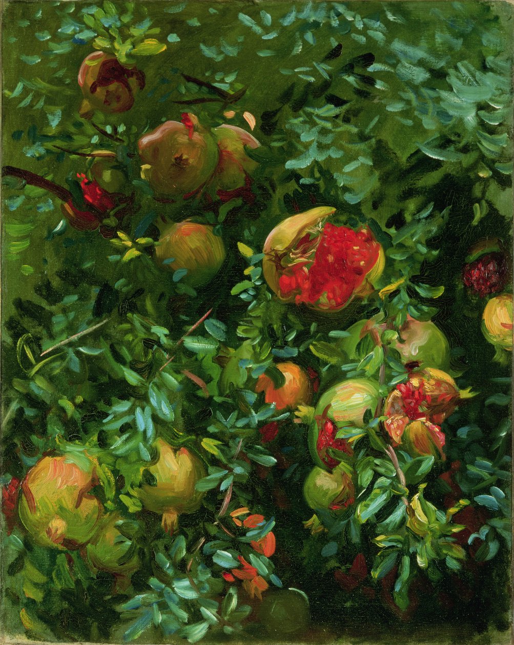Pomegranates, Mallorca, ca. 1908 av John Singer Sargent