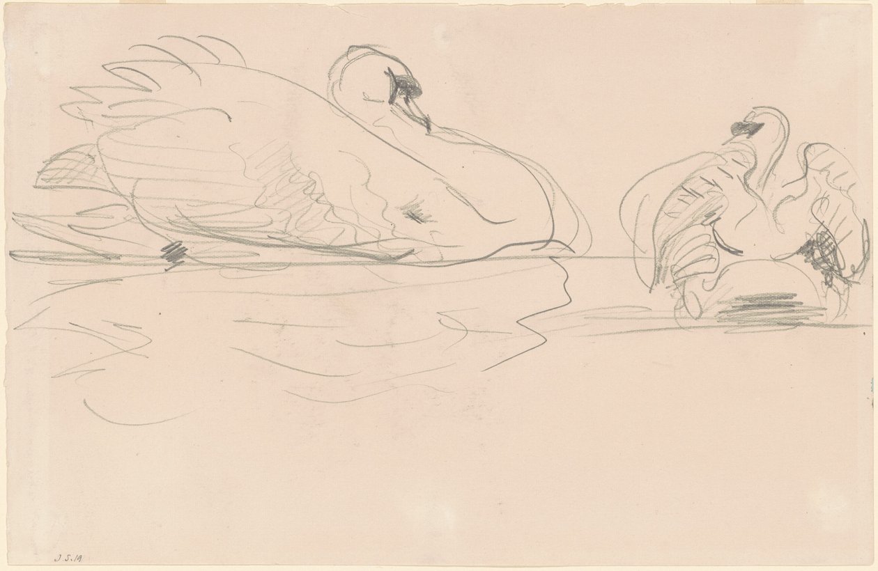 Svaner i vannet, 1880-1900. av John Singer Sargent