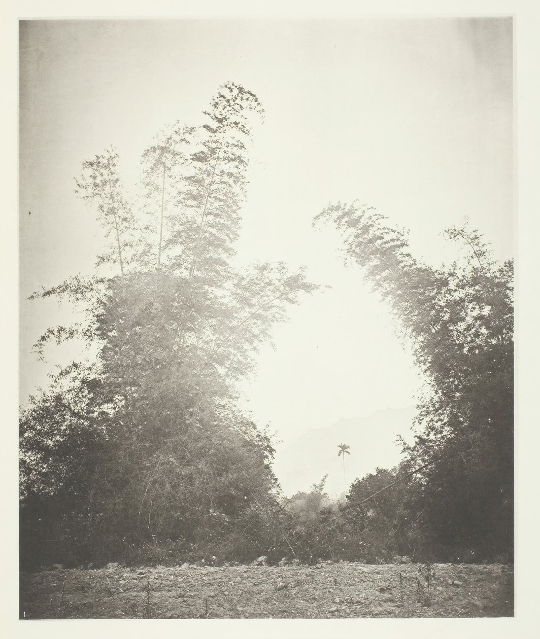 Bambus og Baska, Formosa, ca. 1868. av John Thomson