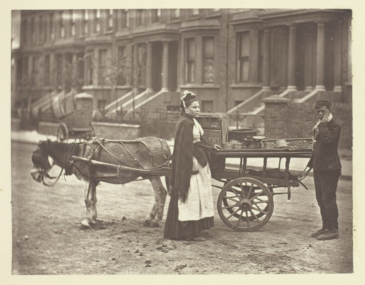 Jordbær. Helt moden! All moden!, 1881. av John Thomson