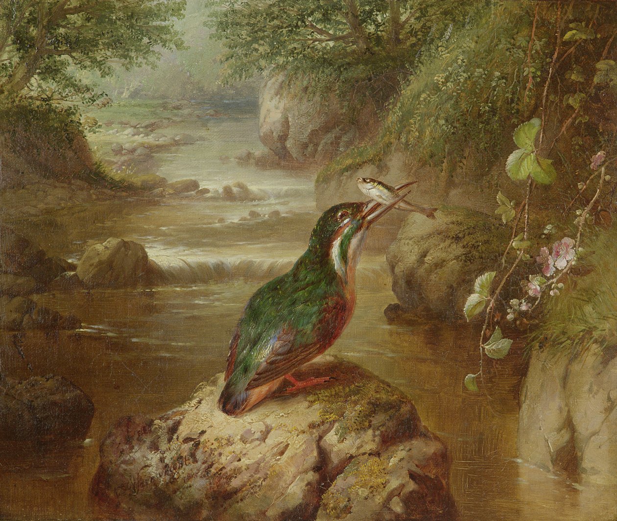 Isfuglens tilholdssted av John Wainwright