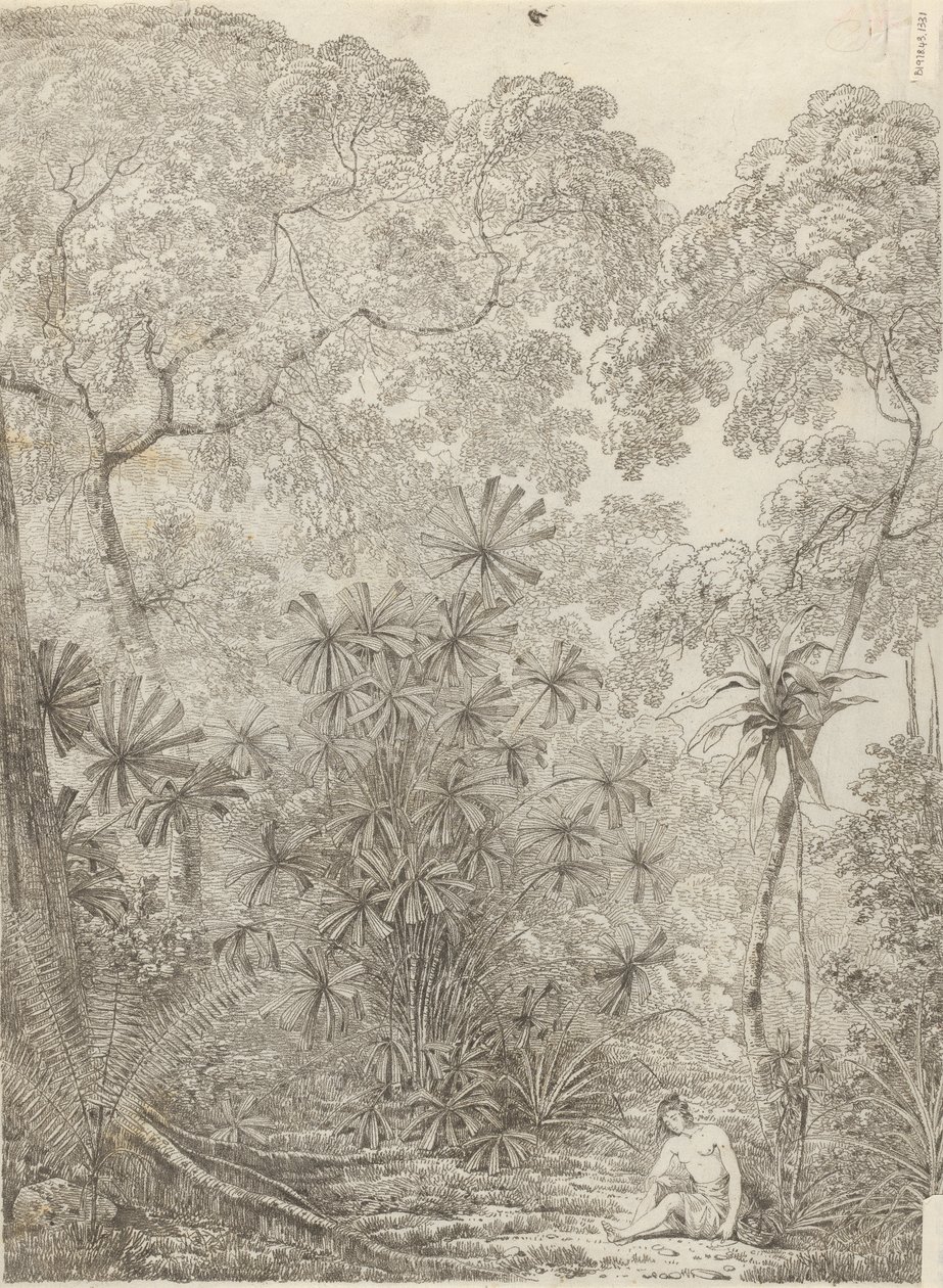 Fan Palm of Cracatoa av John Webber