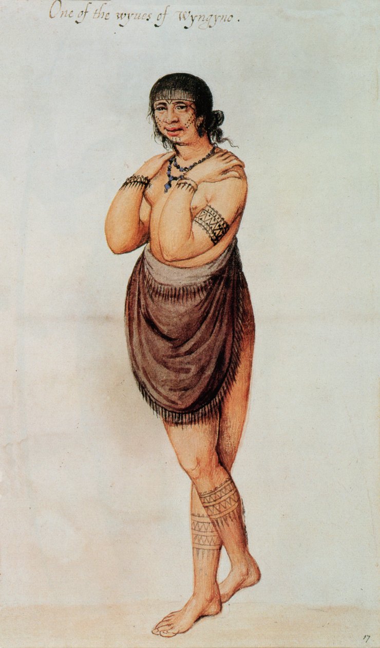 Indisk kvinne (farge litho) av John White