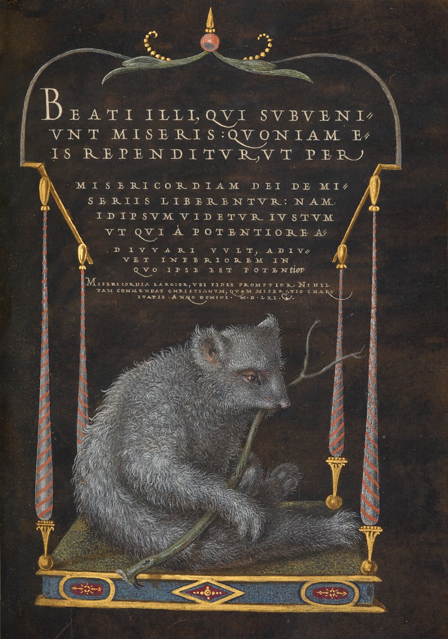  av Joris Hoefnagel