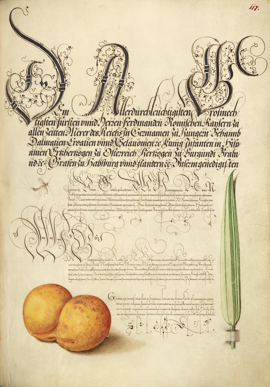  av Joris Hoefnagel