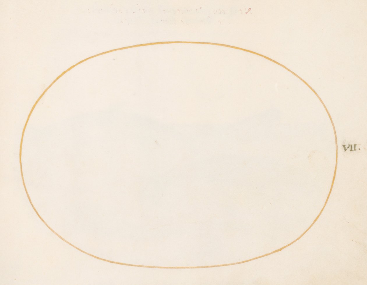 Plate 7: Tom oval av Joris Hoefnagel