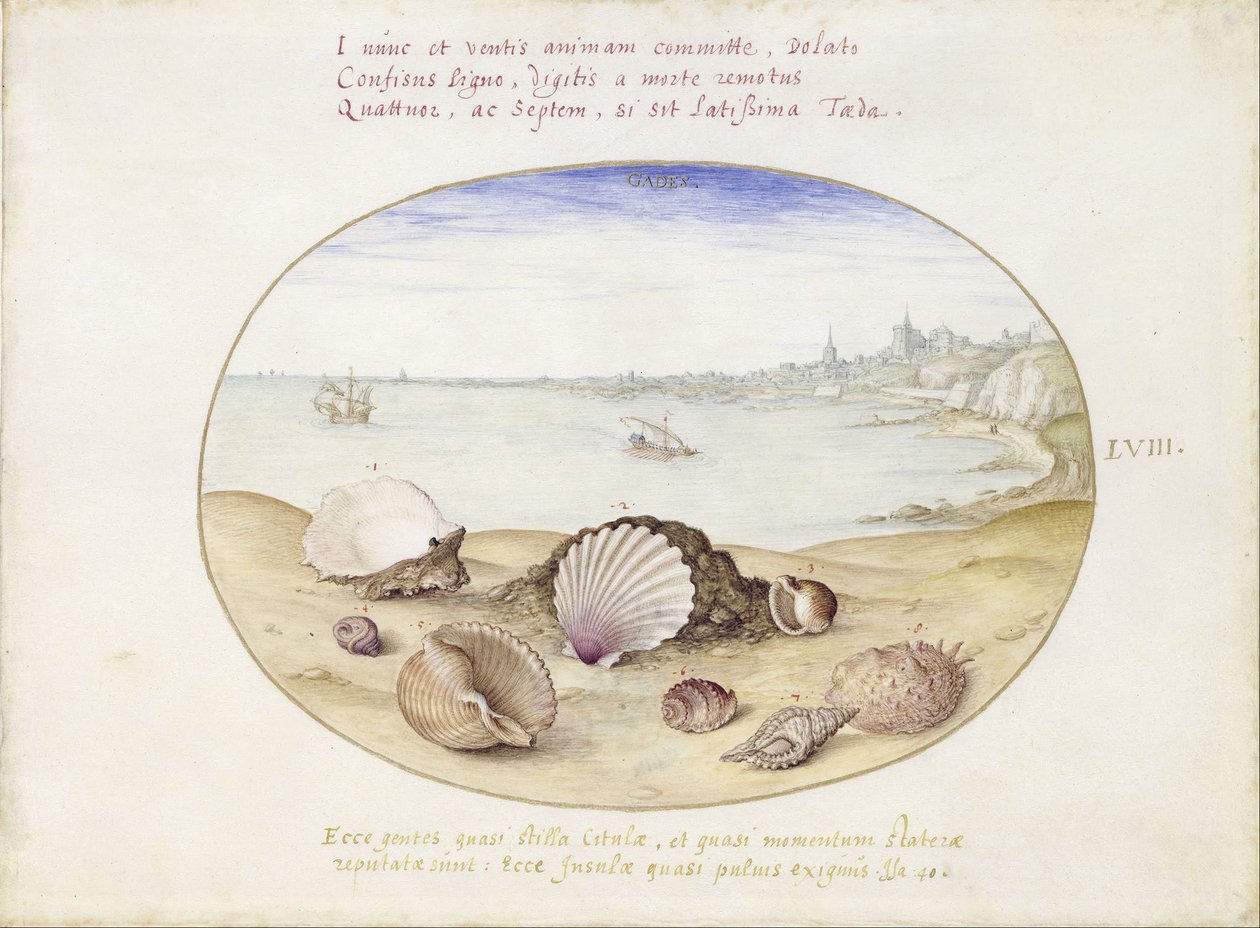  av Joris Hoefnagel