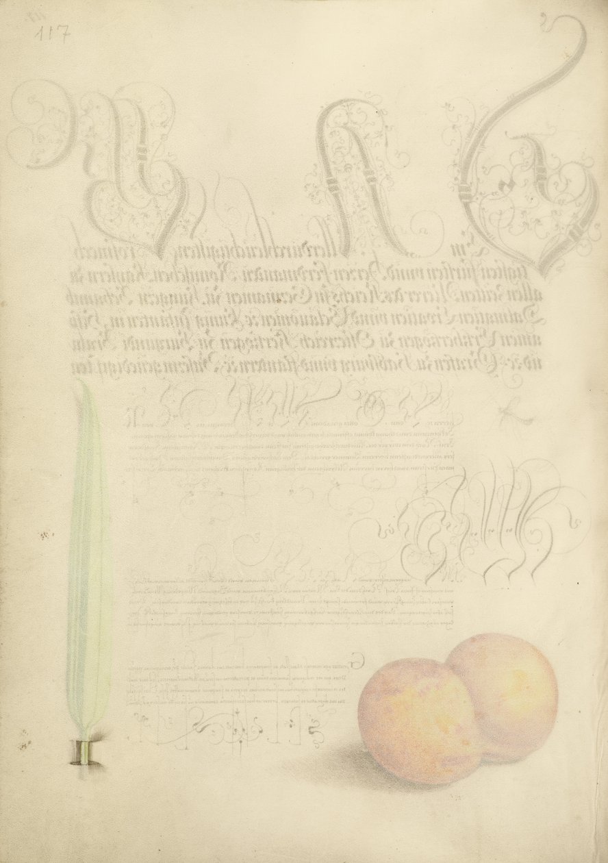  av Joris Hoefnagel