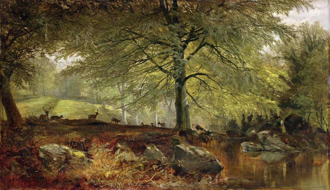 Hjort i en skog av Joseph Denovan Adam