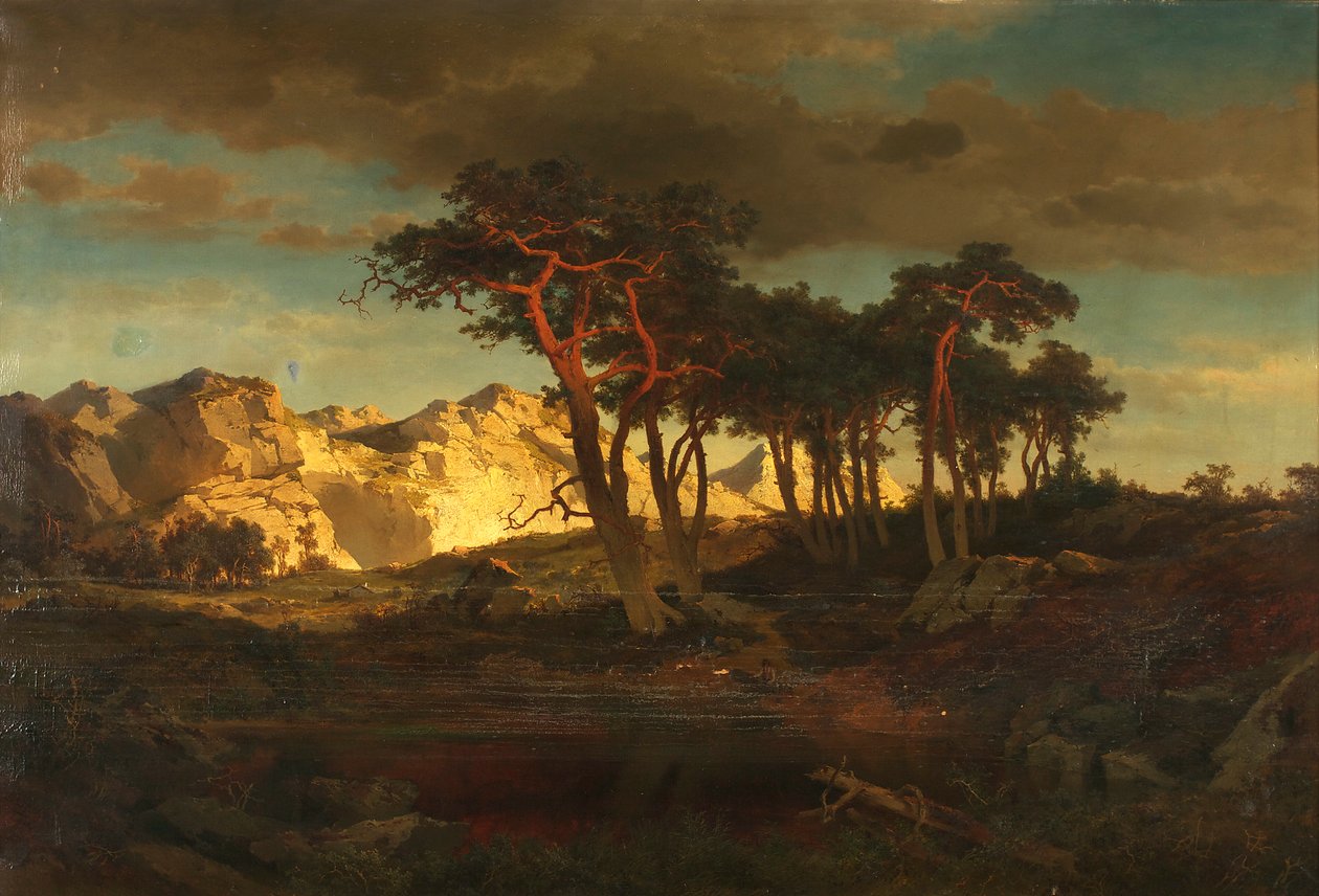 Rotföhren av Joseph Brunner