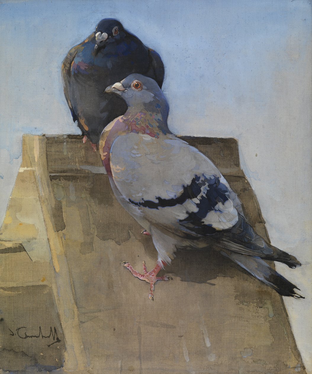 Duer på taket (gouache på lin) av Joseph Crawhall